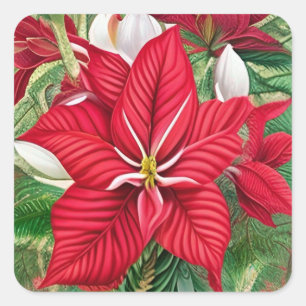 Amaryllis Poinsettia Hybrid AI Art Square Sticker