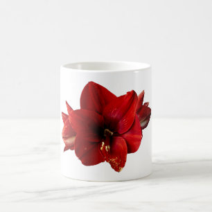 Amaryllis, red flower coffee mug