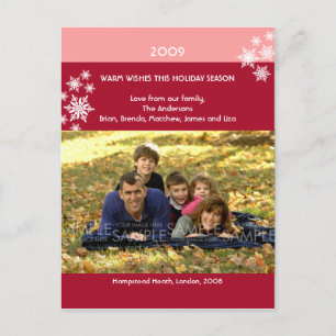 Amaryllis Snowflakes :: Christmas Photo Postcard