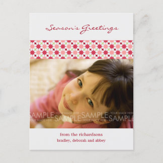 Amaryllis Stars :: Christmas Photo Postcard