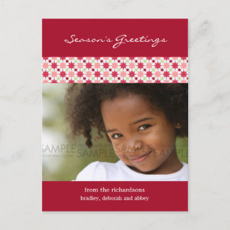 Amaryllis Stars :: Christmas Photo Postcard