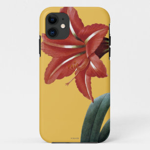Amaryllis Striped iPhone 11 Case