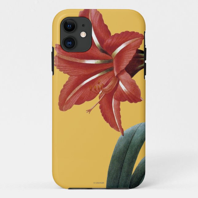 Amaryllis Striped Case-Mate iPhone Case (Back)