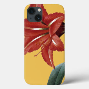Amaryllis Striped iPhone 13 Case