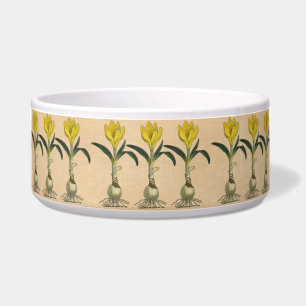 Amaryllis Tulip Botanical Garden Flower