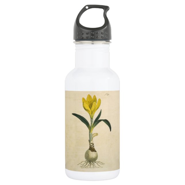 Amaryllis Tulip Botanical Garden Flower 532 Ml Water Bottle (Front)