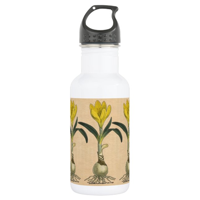 Amaryllis Tulip Botanical Garden Flower 532 Ml Water Bottle (Front)