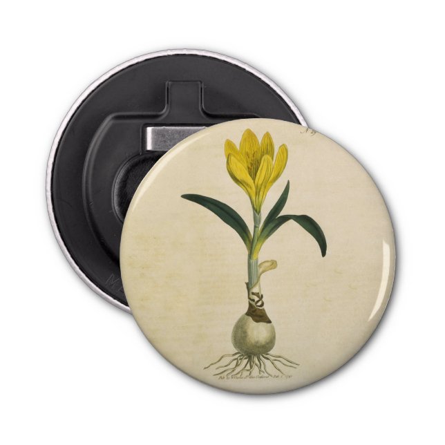 Amaryllis Tulip Botanical Garden Flower Bottle Opener (Front)