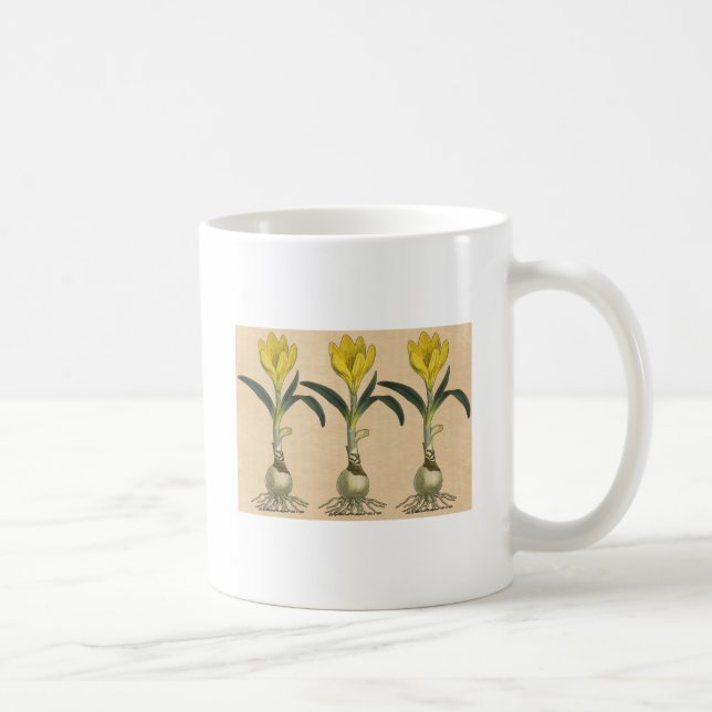 Amaryllis Tulip Botanical Garden Flower Coffee Mug (Right)
