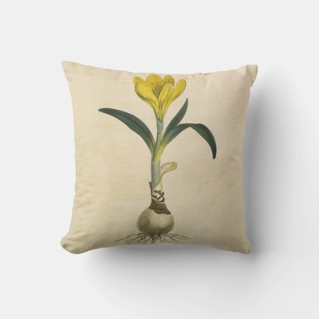 Amaryllis Tulip Botanical Garden Flower Cushion (Front)