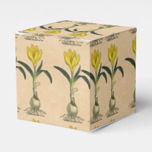Amaryllis Tulip Botanical Garden Flower Favour Box