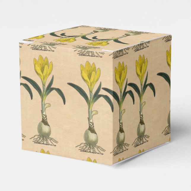 Amaryllis Tulip Botanical Garden Flower Favour Box (Front Side)