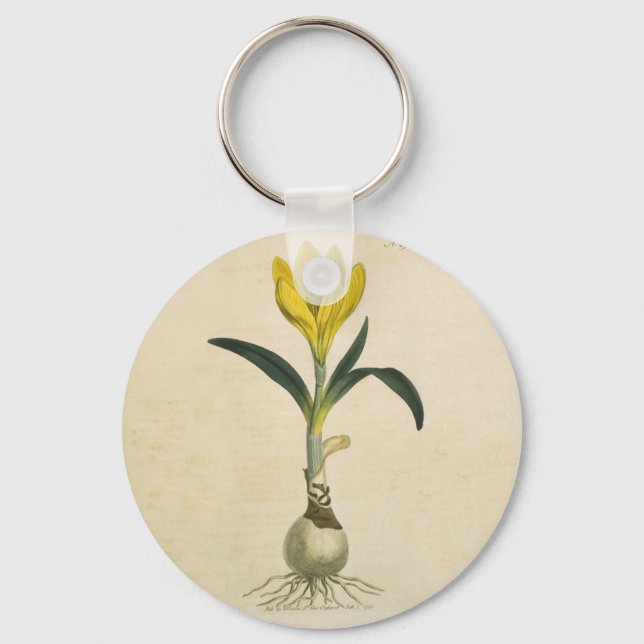 Amaryllis Tulip Botanical Garden Flower Key Ring (Front)