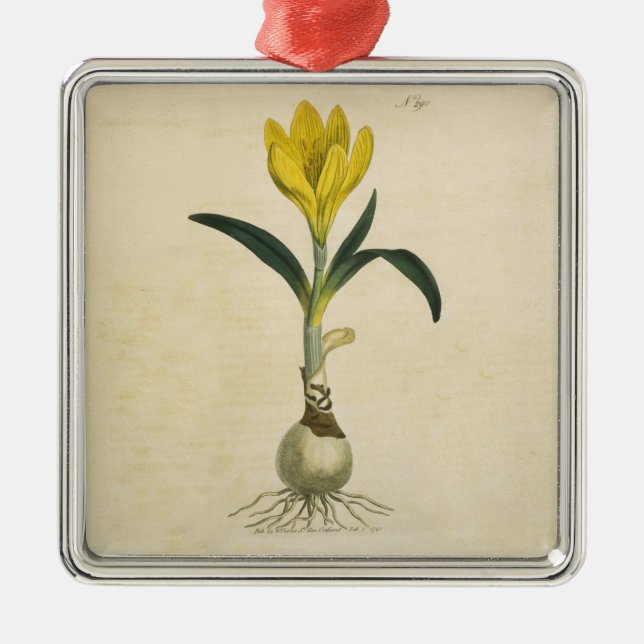 Amaryllis Tulip Botanical Garden Flower Metal Tree Decoration (Front)