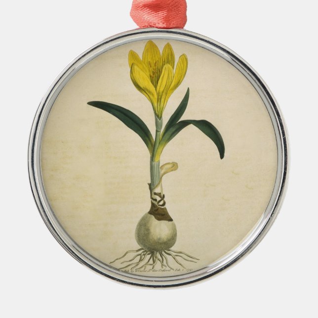 Amaryllis Tulip Botanical Garden Flower Metal Tree Decoration (Front)