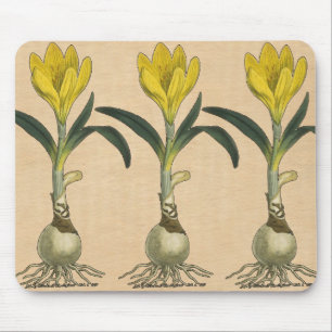 Amaryllis Tulip Botanical Garden Flower Mouse Mat