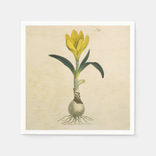 Amaryllis Tulip Botanical Garden Flower Napkin