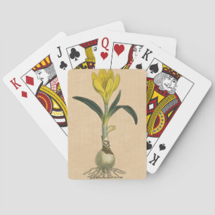 Amaryllis Tulip Botanical Garden Flower Playing Cards
