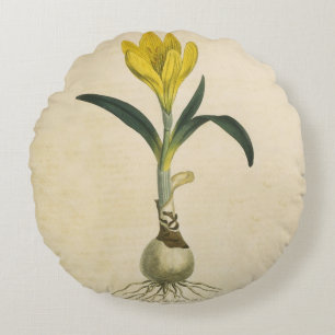 Amaryllis Tulip Botanical Garden Flower Round Cushion