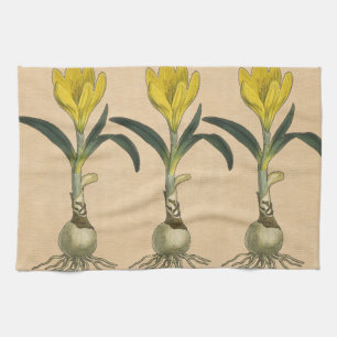 Amaryllis Tulip Botanical Garden Flower Tea Towel