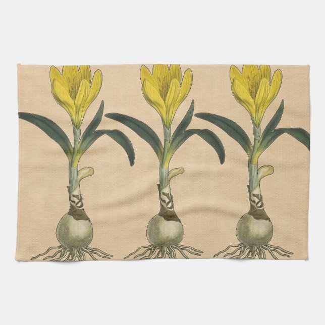 Amaryllis Tulip Botanical Garden Flower Tea Towel (Horizontal)