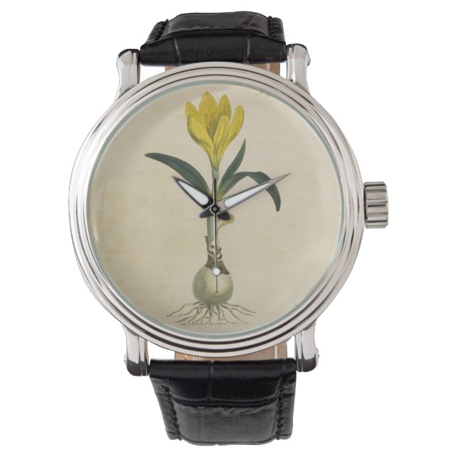 Amaryllis Tulip Botanical Garden Flower Watch (Front)