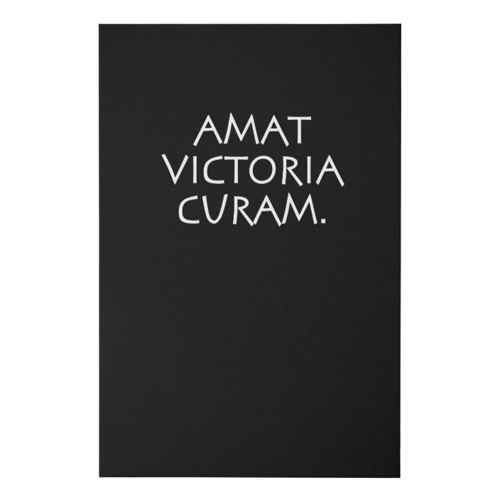 Amat victoria curam ударение