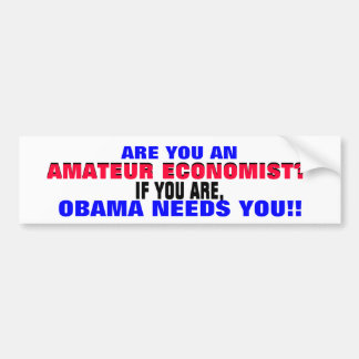 AMATEUR ECONOMIST??  IF SO, ..OBAMA NEEDS YOU! BUMPER STICKER