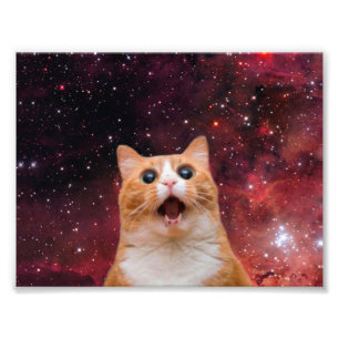 Amazed Space Cat Photo Print