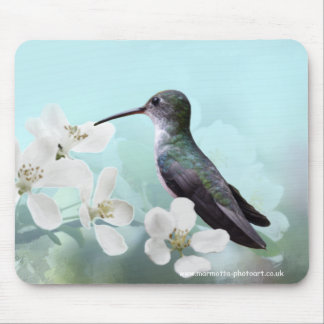 Amazilias Mousemat