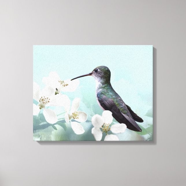 Amazilias Wrapped Canvas Print (Front)