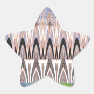 Amazing Abstract Pattern Art Print Star Sticker