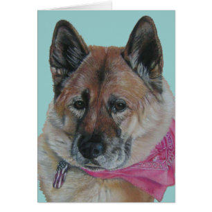 amazing akita pink scarf usa flag tag dog blank