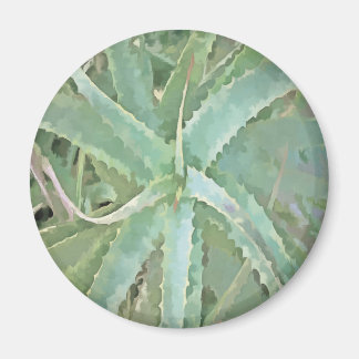 Amazing Aloe Vera Acrylic Art Magnet