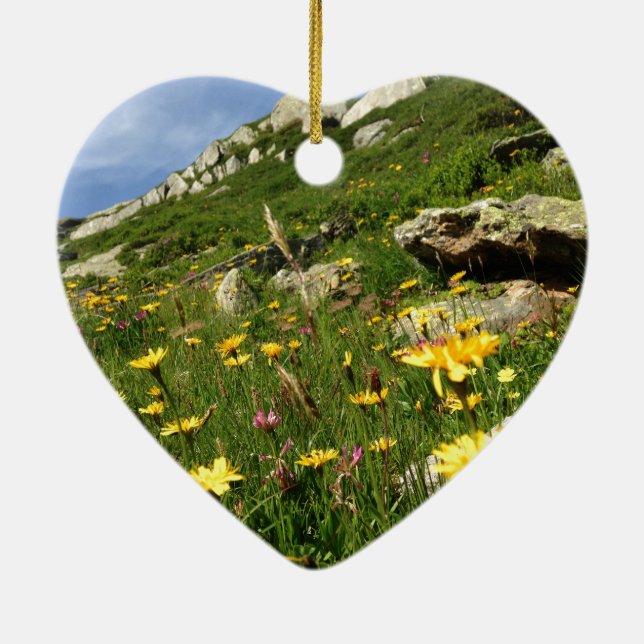 Amazing! Alpine flowers Ceramic Tree Decoration (Back)