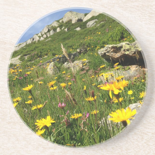 Amazing! Alpine flowers Coaster (Front)