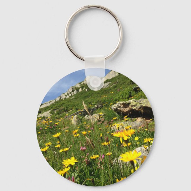 Amazing! Alpine flowers Key Ring (Front)