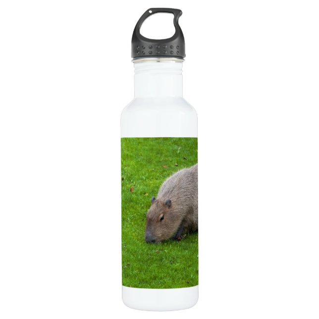 Amazing Animal Capybara 710 Ml Water Bottle (Front)