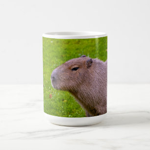 Amazing Animal Capybara Coffee Mug