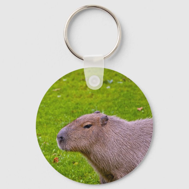 Amazing Animal Capybara Key Ring (Front)