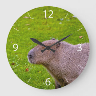 Amazing Animal Capybara Large Clock