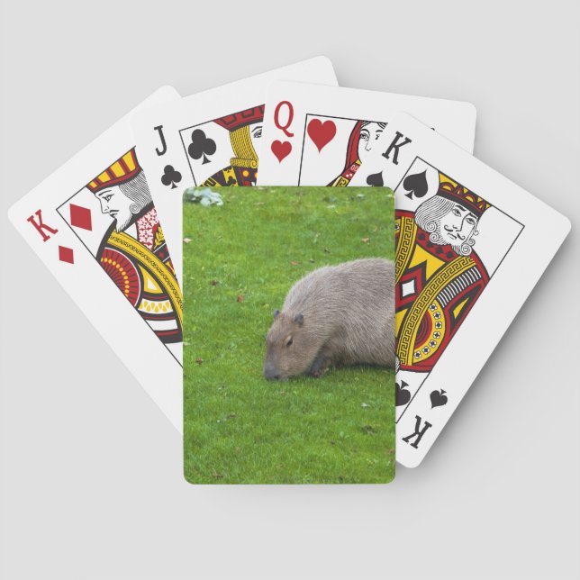 Amazing Animal Capybara Playing Cards (Back)