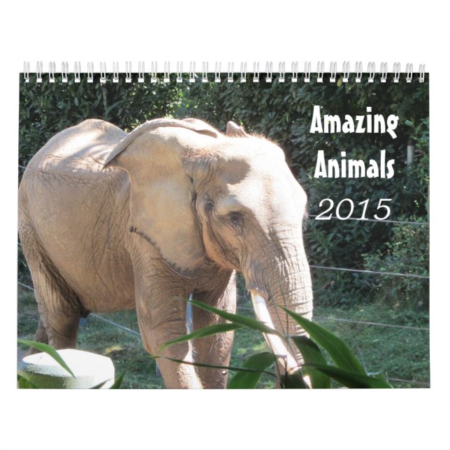 Amazing Animals 2015 Calendar (Cover)