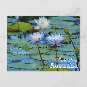Amazing Australia postcard