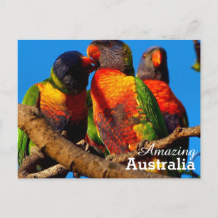 Amazing Australia postcard