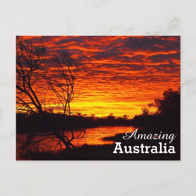 Amazing Australia postcard (Front)