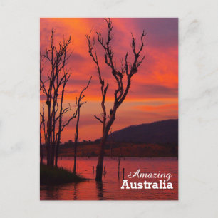Amazing Australia postcard