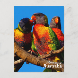 Amazing Australia postcard