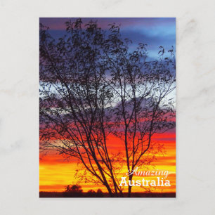 Amazing Australia postcard