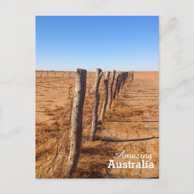 Amazing Australia postcard (Front)